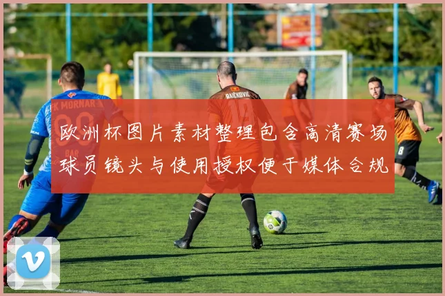 欧洲杯图片素材整理包含高清赛场球员镜头与使用授权便于媒体合规调用