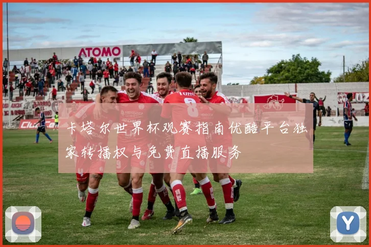 卡塔尔世界杯观赛指南优酷平台独家转播权与免费直播服务