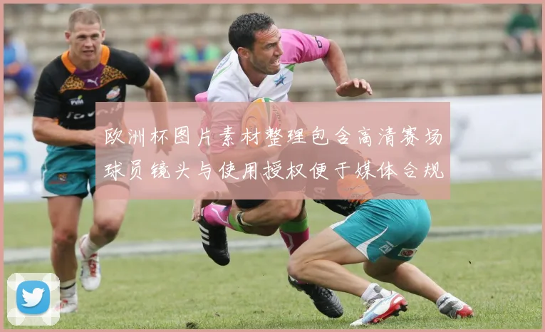 欧洲杯图片素材整理包含高清赛场球员镜头与使用授权便于媒体合规调用