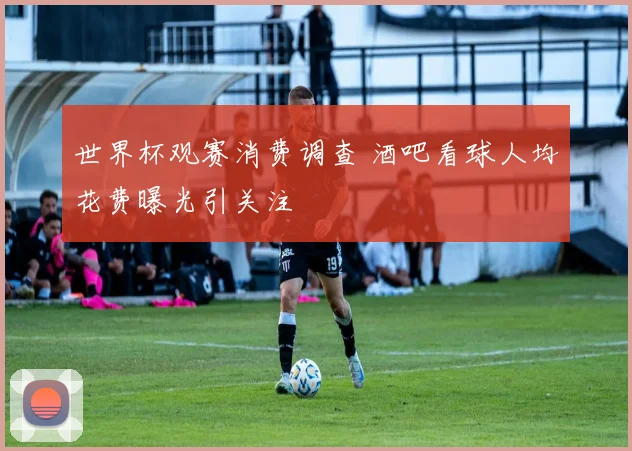 世界杯观赛消费调查 酒吧看球人均花费曝光引关注